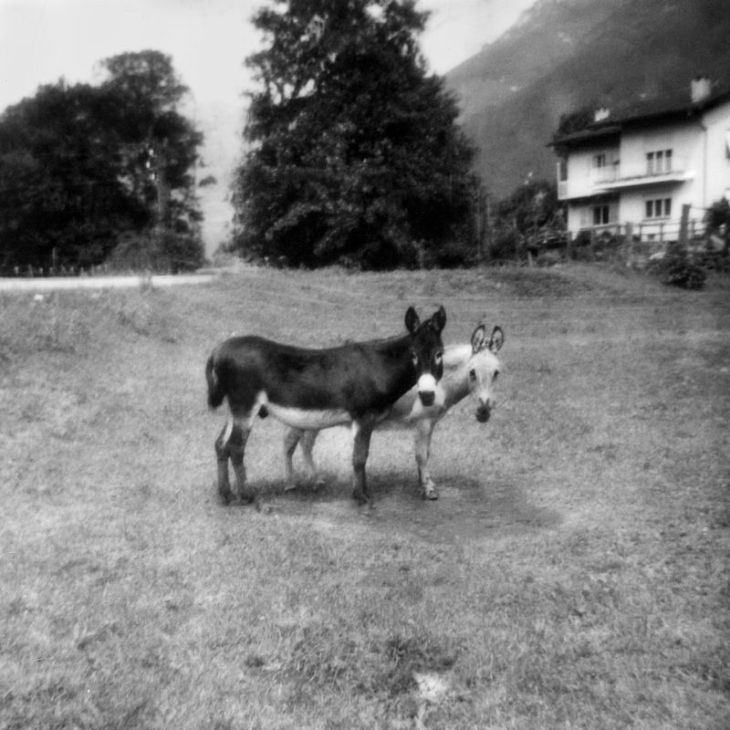 © Jessica Wolfelsperger - Image from the SAGA photography project