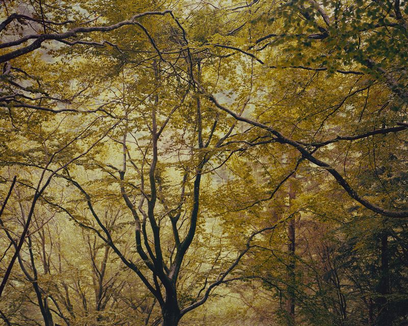 © Jessica Wolfelsperger - Image from the SAGA photography project