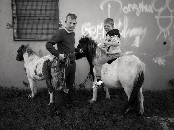 © Rebecca Moseman - Two brothers arrive home to their halting site after school and gather their ponies.