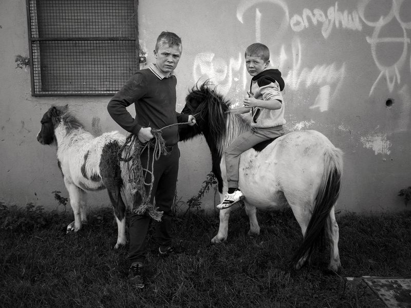 © Rebecca Moseman - Two brothers arrive home to their halting site after school and gather their ponies.