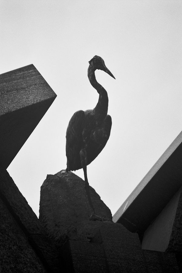 © Marta Marinotti - Image from the Monumentale photography project