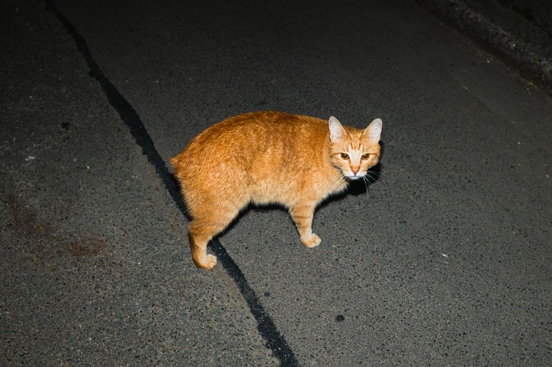 © Angelo Del Negro - Image from the MALO SUTRA photography project