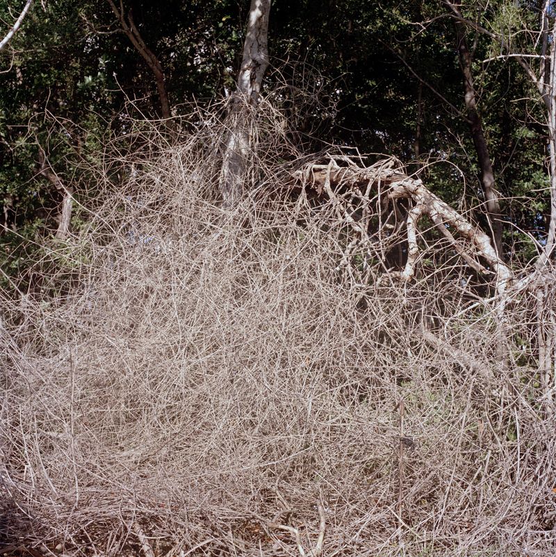© Valerie Catalan - Image from the In Vain photography project