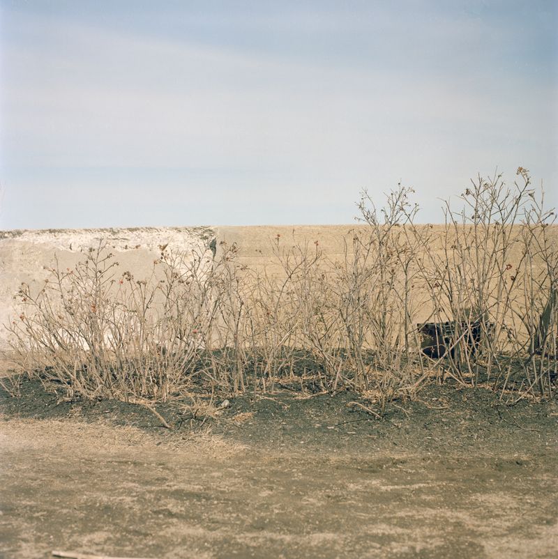 © Valerie Catalan - Image from the In Vain photography project