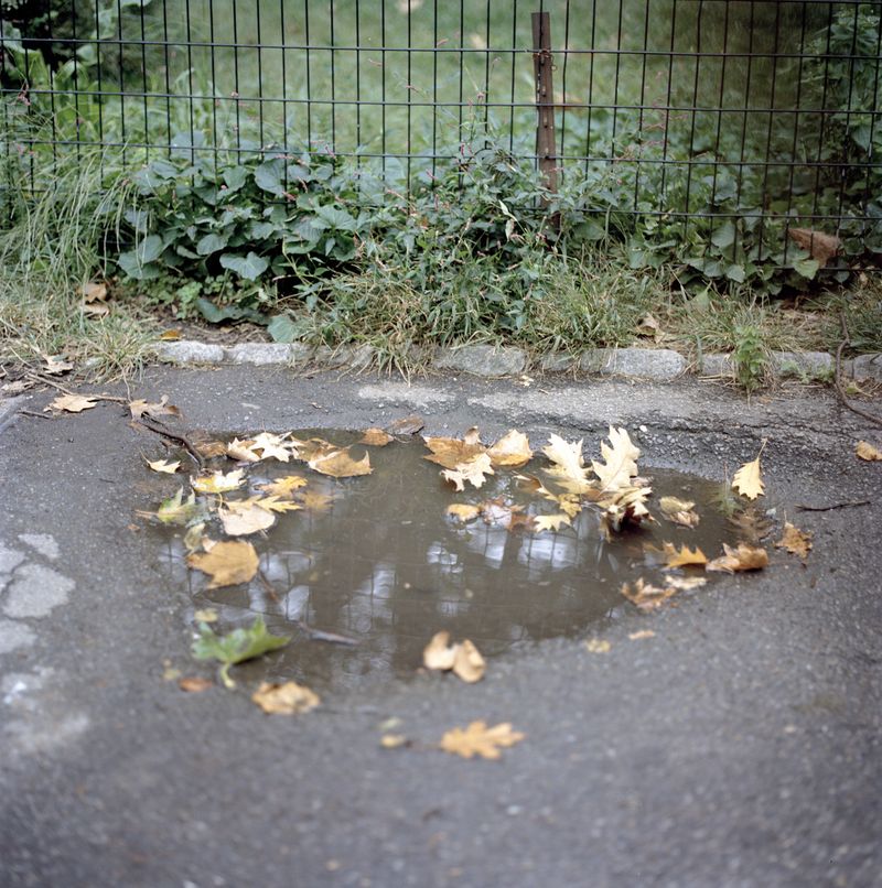 © Valerie Catalan - Image from the In Vain photography project