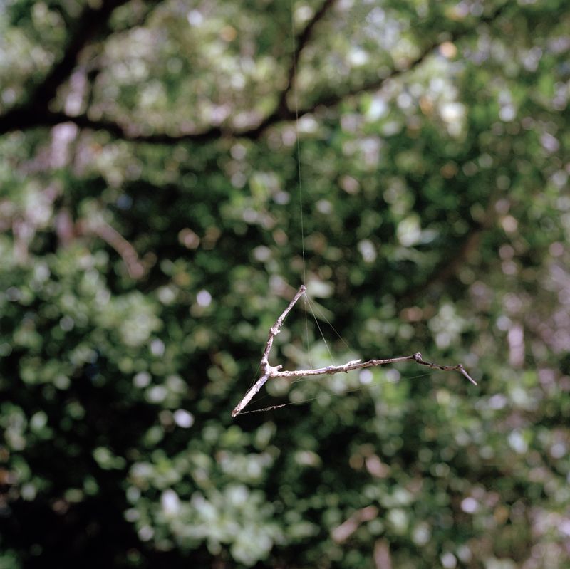 © Valerie Catalan - Image from the In Vain photography project