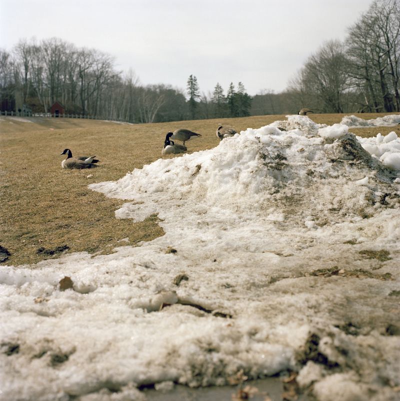 © Valerie Catalan - Image from the In Vain photography project