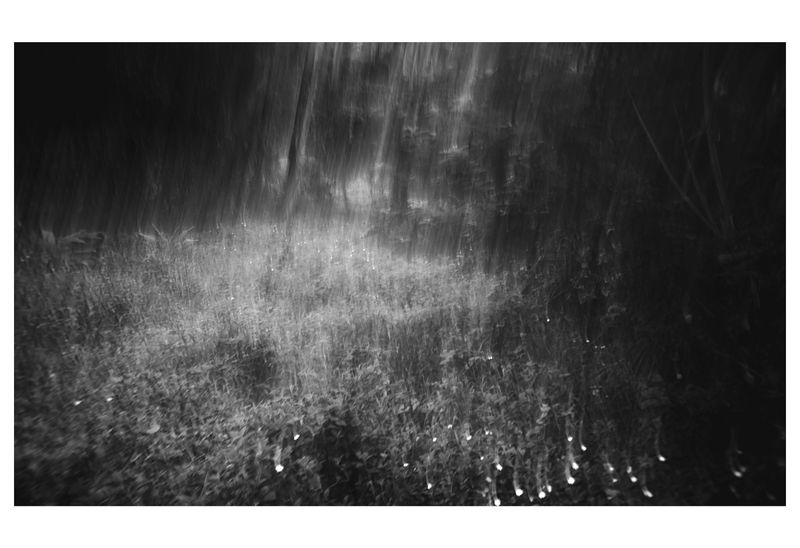 © Sam Mohan - Dementia