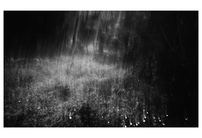 © Sam Mohan - Dementia
