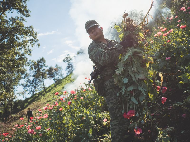 © Alfredo Bosco - Image from the Forgotten Guerrero photography project