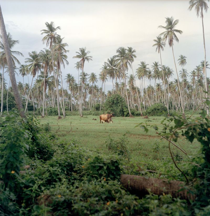 © Kelly-Ann Bobb - Image from the Vecina: Nay-bah photography project