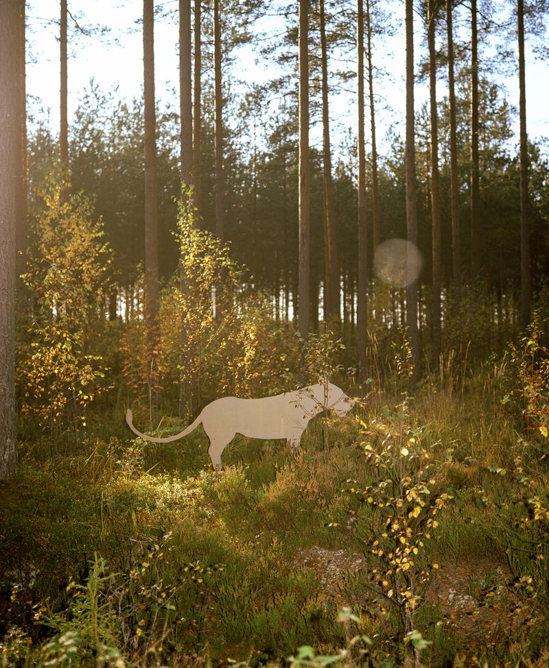 © Jasmine Färling - Image from the Nothing is true, everything is possible photography project