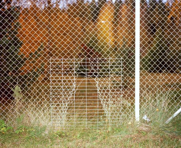 © Jasmine Färling - Image from the Nothing is true, everything is possible photography project