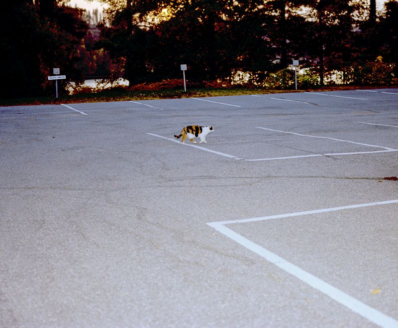 © Jasmine Färling - Image from the Nothing is true, everything is possible photography project