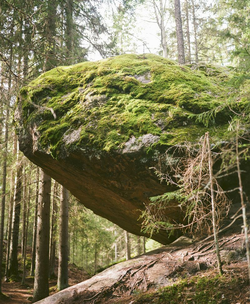 © Jasmine Färling - Image from the Nothing is true, everything is possible photography project