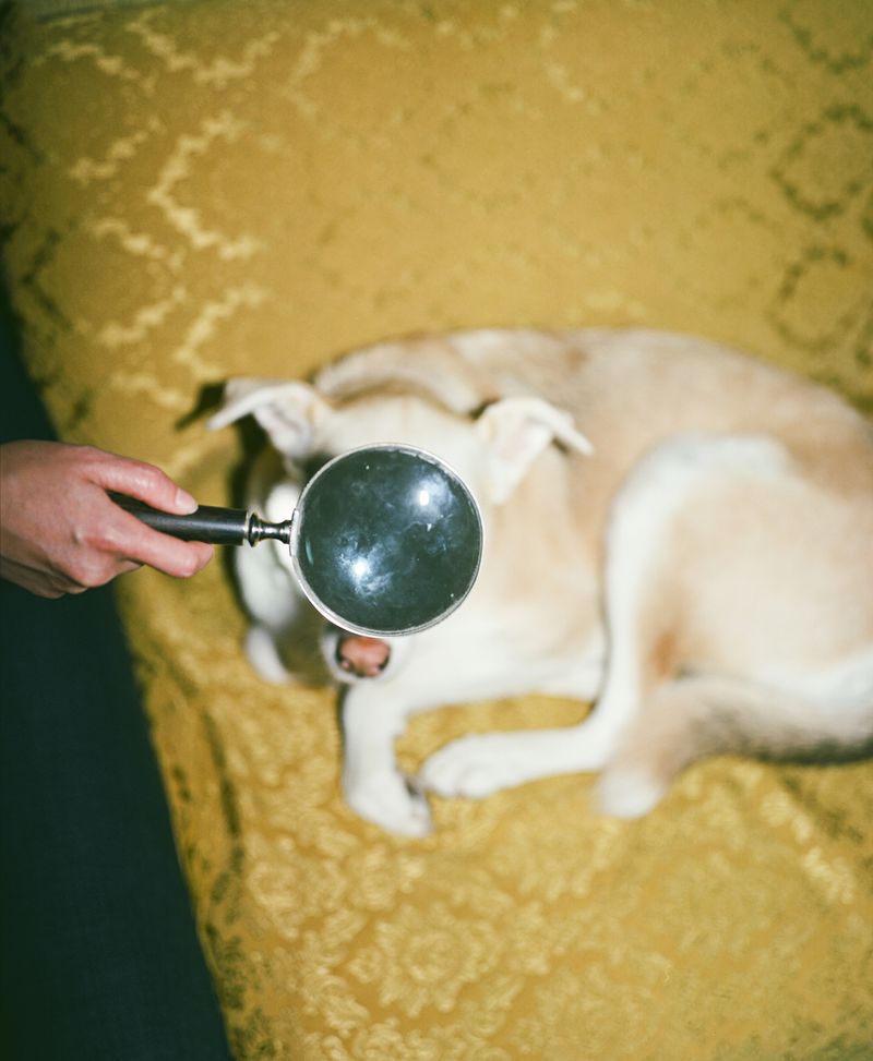 © Jasmine Färling - Image from the Nothing is true, everything is possible photography project