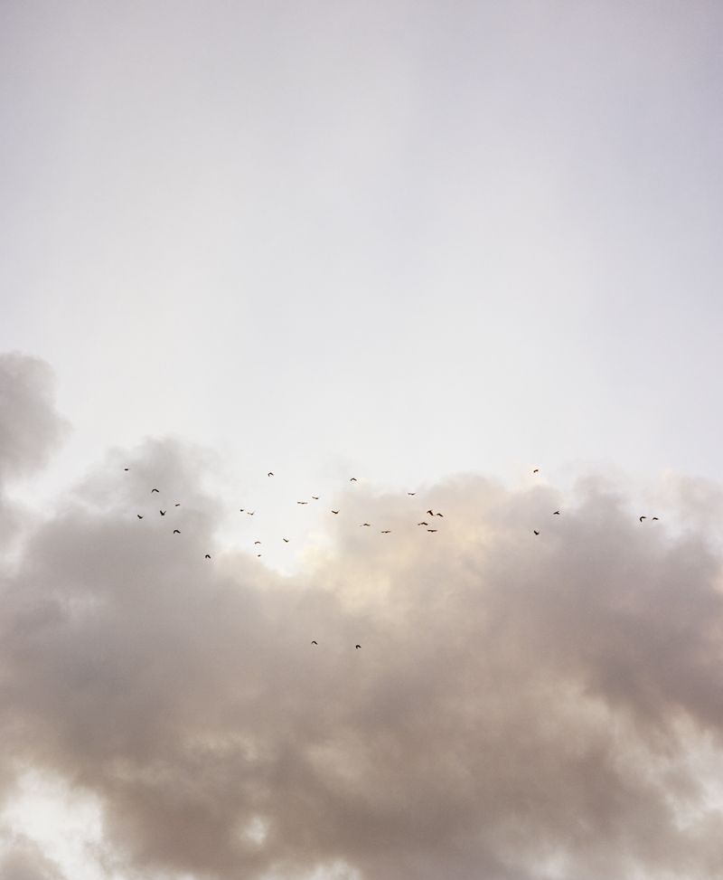 © Jasmine Färling - Image from the Nothing is true, everything is possible photography project