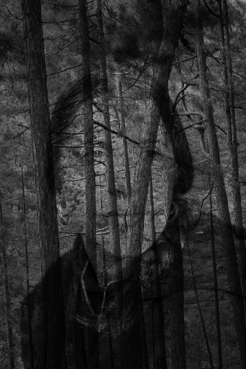 From Alongside the River. © Penelope Thomaidi