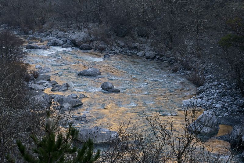 From Alongside the River. © Penelope Thomaidi