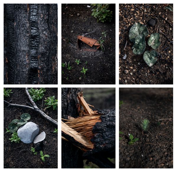 From New Reality. © Penelope Thomaidi