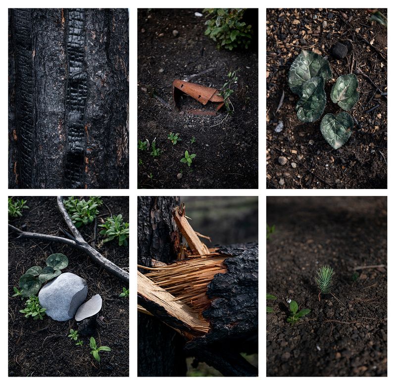 From New Reality. © Penelope Thomaidi