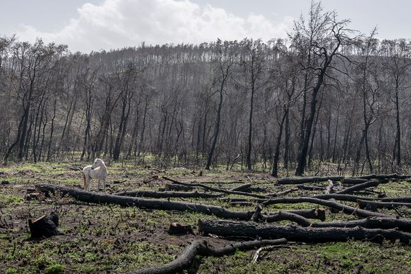 From New Reality. © Penelope Thomaidi