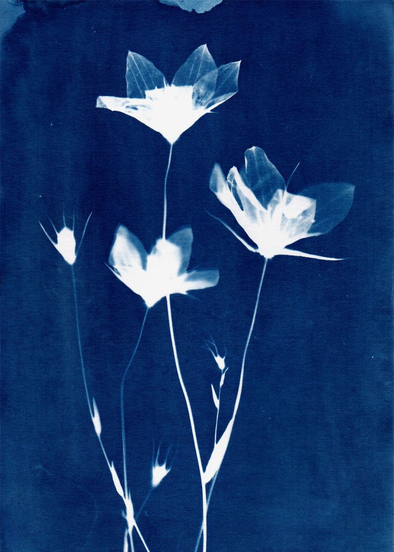 From Alongside the River. © Penelope Thomaidi