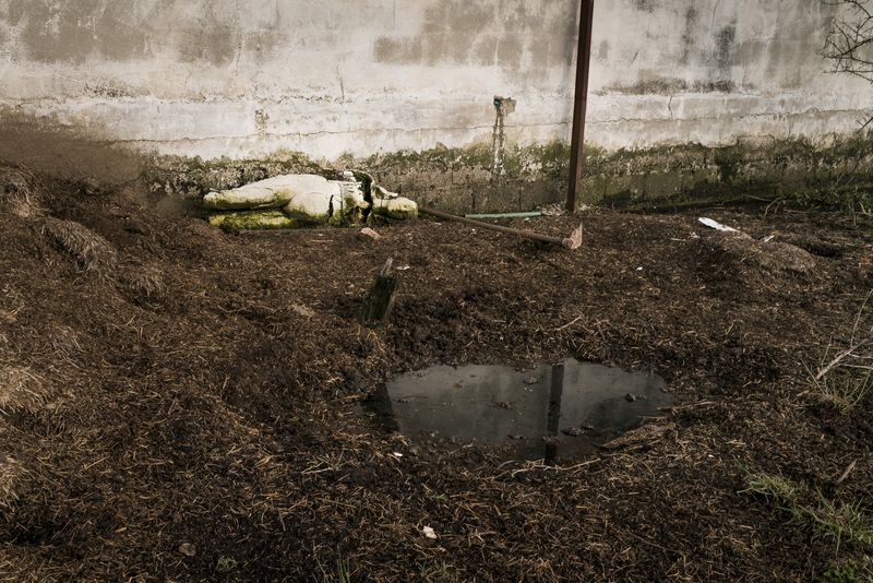 © Penelope Thomaidi - Image from the Life Twists photography project