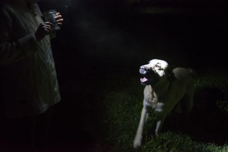 © Penelope Thomaidi - Image from the Life Twists photography project