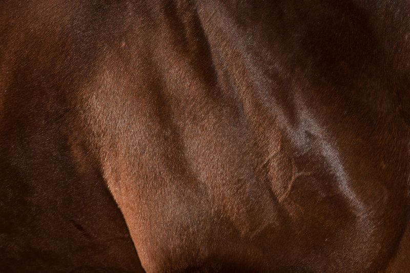 © Penelope Thomaidi - Image from the Life Twists photography project