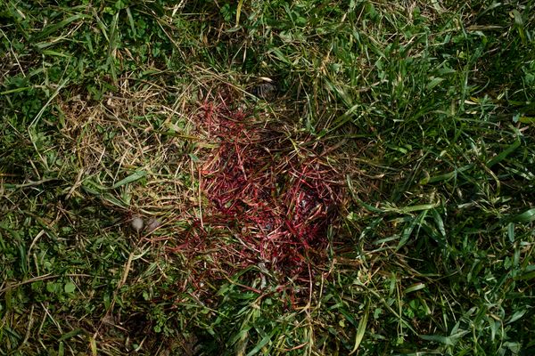 © Penelope Thomaidi - Image from the Life Twists photography project