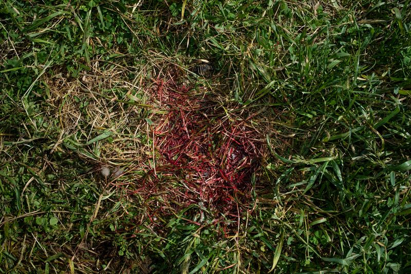 © Penelope Thomaidi - Image from the Life Twists photography project