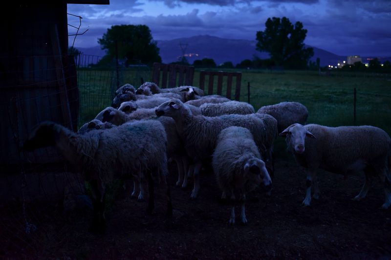 © Penelope Thomaidi - Image from the Life Twists photography project