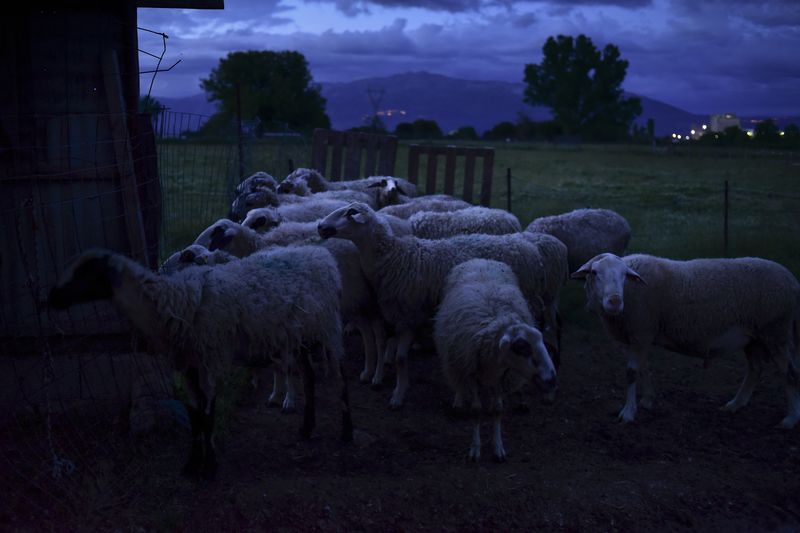 © Penelope Thomaidi - Image from the Life Twists photography project