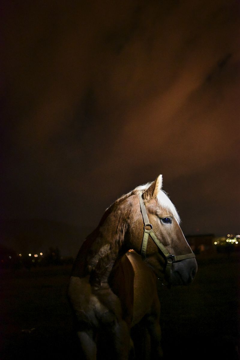 © Penelope Thomaidi - Image from the Life Twists photography project