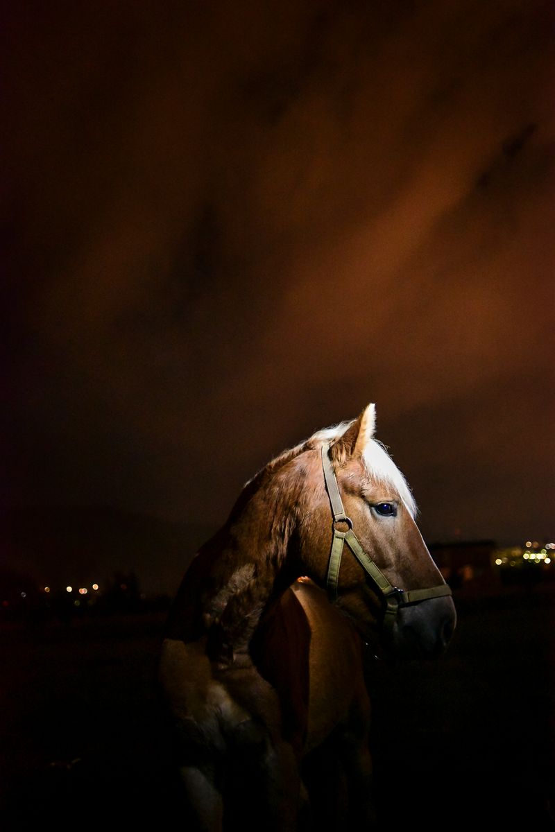 © Penelope Thomaidi - Image from the Life Twists photography project