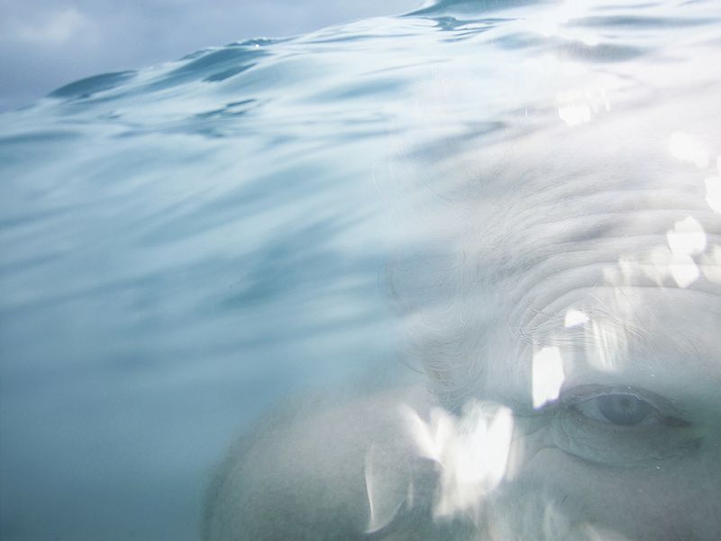 © Valerie Y O Kim - 03_Listening To Whale Songs