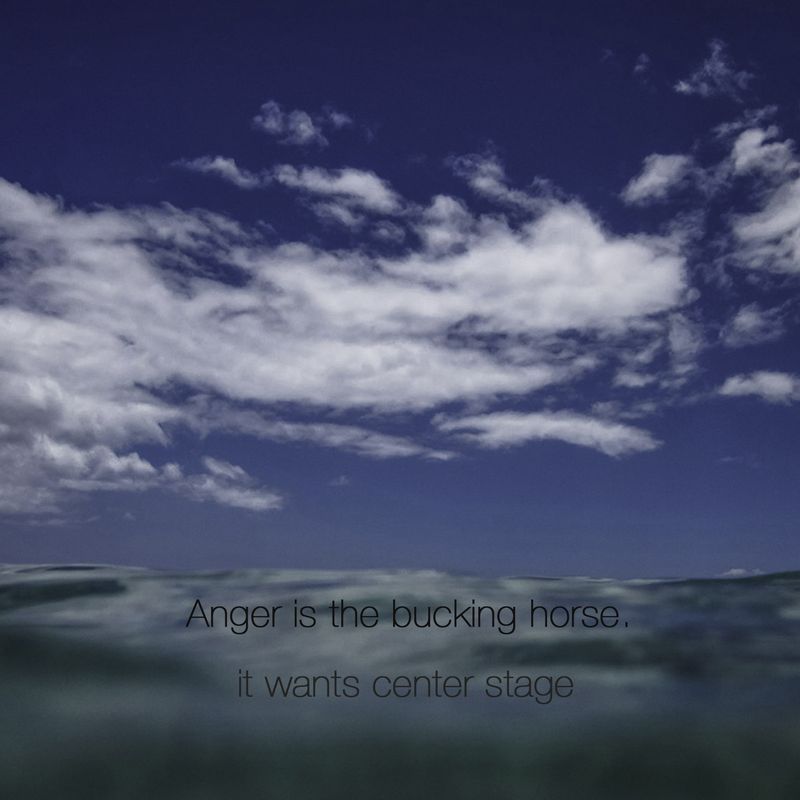 © Valerie Y O Kim - Image from the Only the Bones, Project/Exhibition photography project