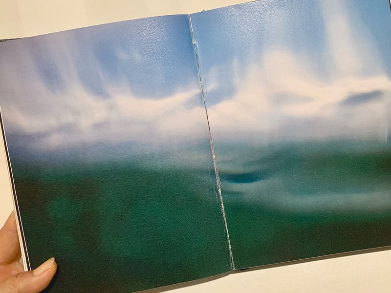 © Valerie Y O Kim - Image from the Only the Bones, Book Dummy photography project