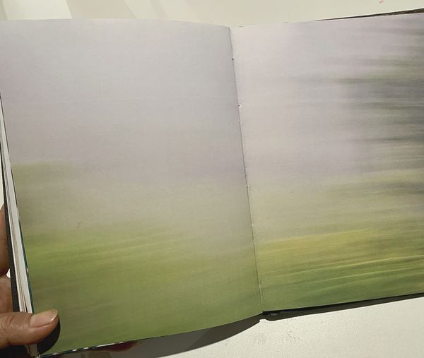© Valerie Y O Kim - Image from the Only the Bones, Book Dummy photography project