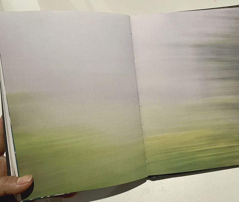 © Valerie Y O Kim - Image from the Only the Bones, Book Dummy photography project