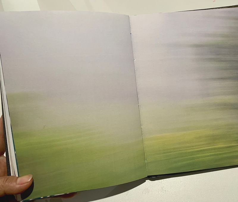 © Valerie Y O Kim - Image from the Only the Bones, Book Dummy photography project