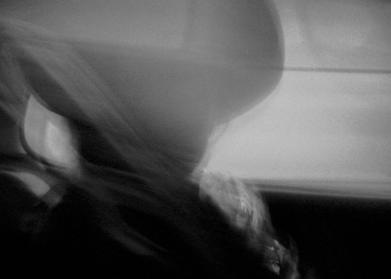 © Laura Chen - Image from the Ant Football photography project