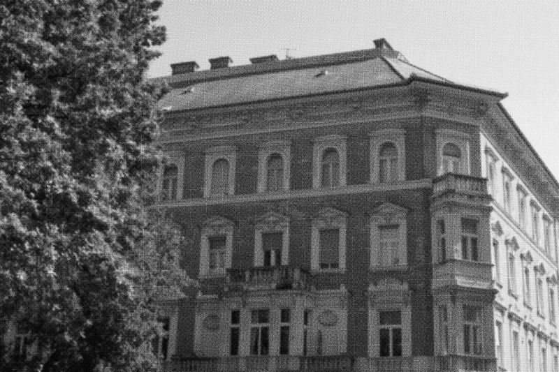 © Laura Chen - Image from the Ant Football photography project