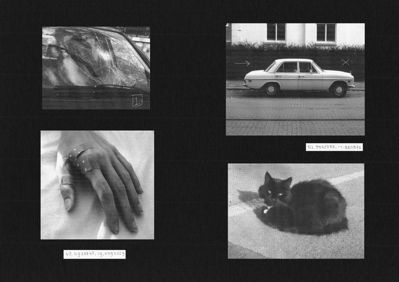 © Laura Chen - Image from the Ant Football photography project