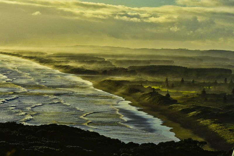 © Kelly Vivian - Muriwai Mists.The sea spray comes in off the Tasman Sea onto the shores of Muriwai Beach on Auckland's west coast.