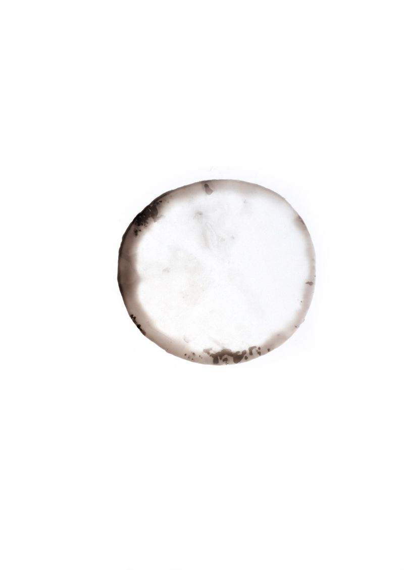 © Aga Paulina Młyńczak - Tissue 05