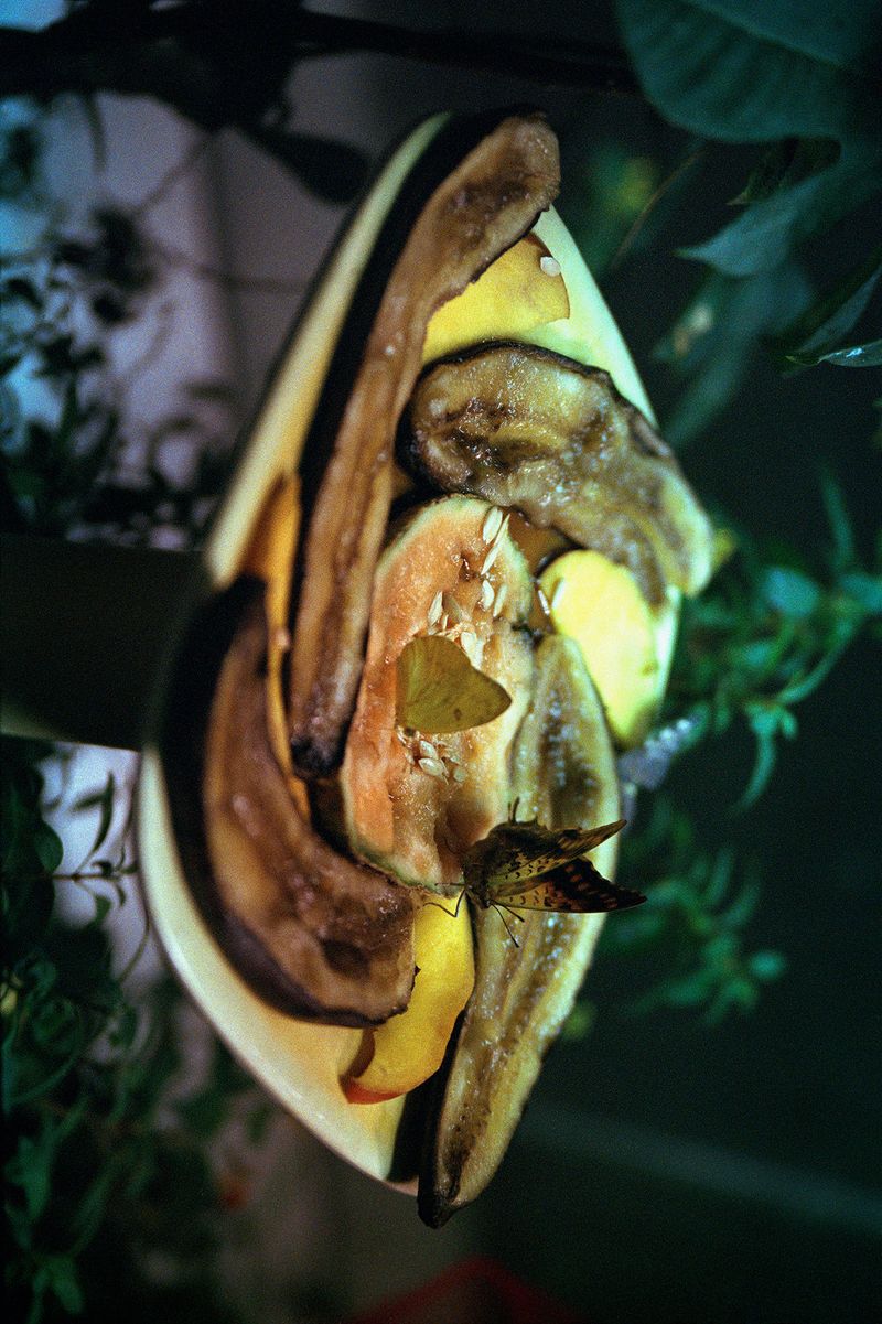 © Logan  White - Image from the Another Day, Another Rose Garden photography project