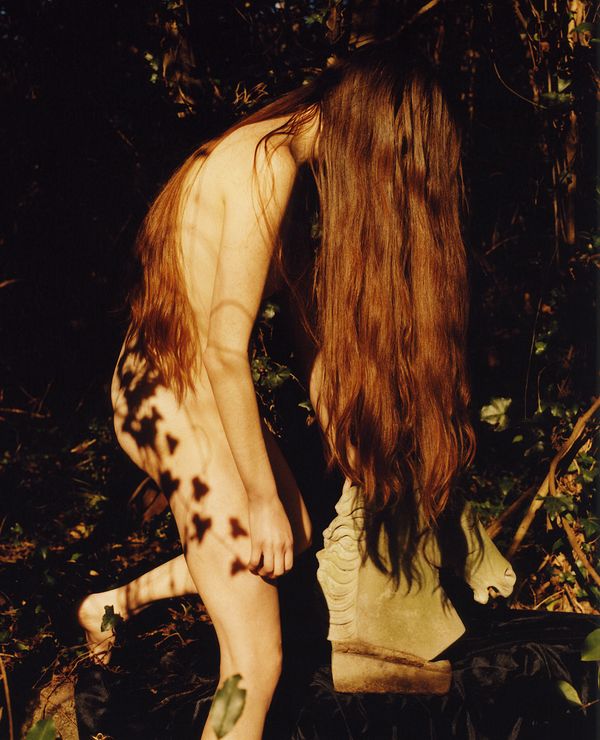 © Logan  White - Image from the Another Day, Another Rose Garden photography project