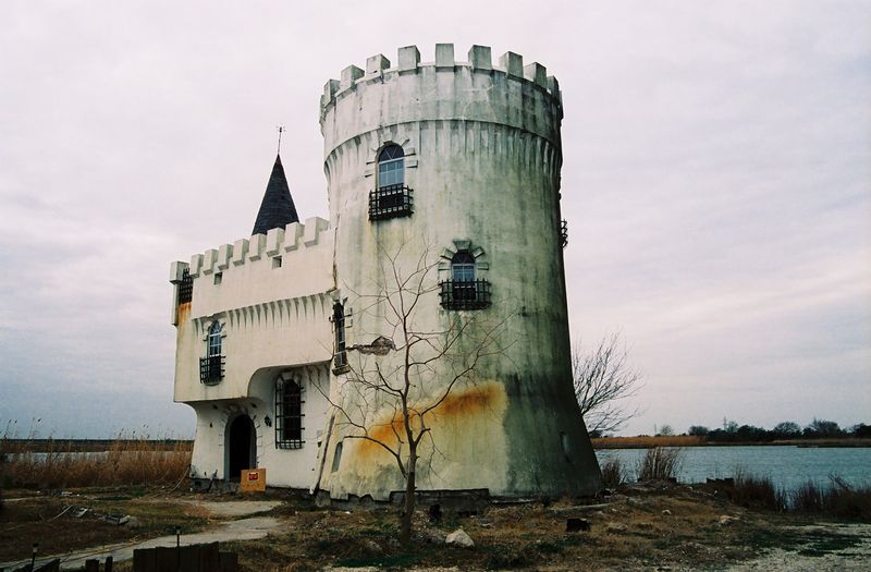 © Logan  White - Image from the Another Day, Another Rose Garden photography project